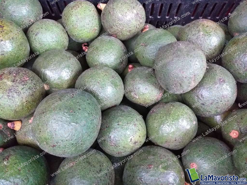 Aguacate reeds