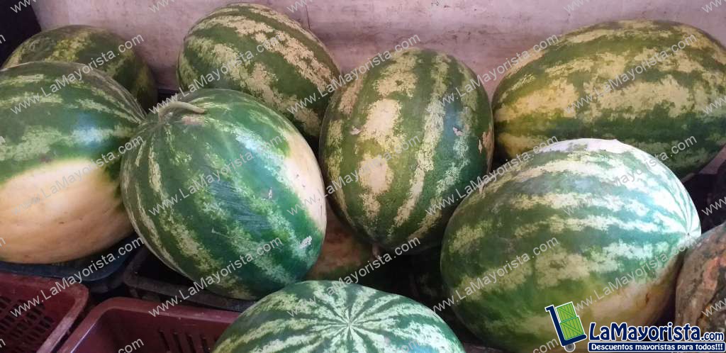 Sandia baby