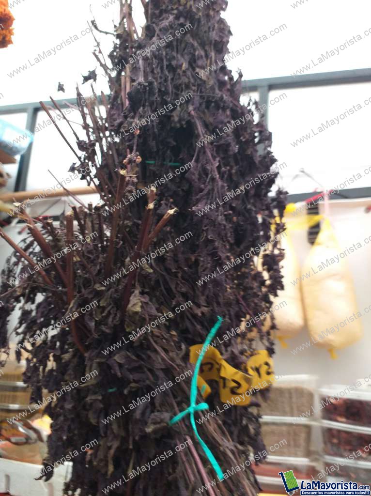 Albahaca  roja