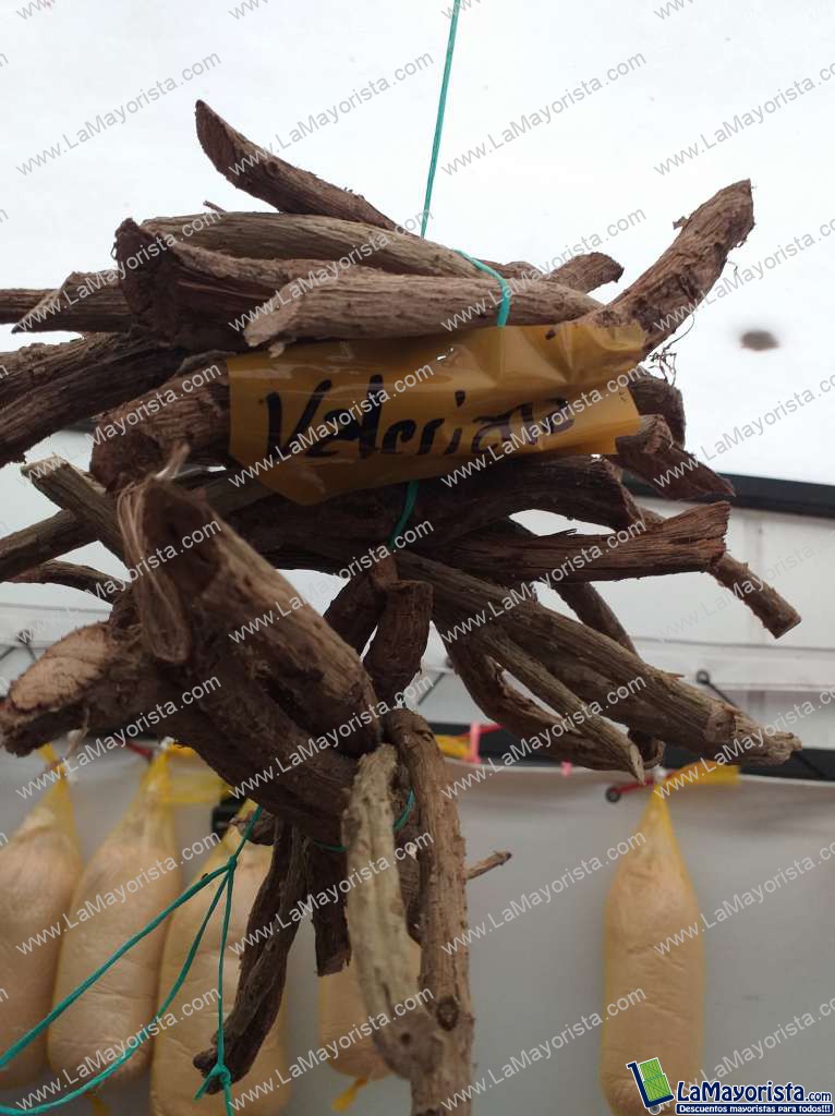 Valeriana