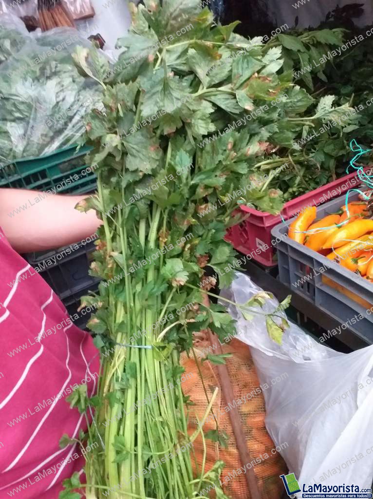 Apio medicinal