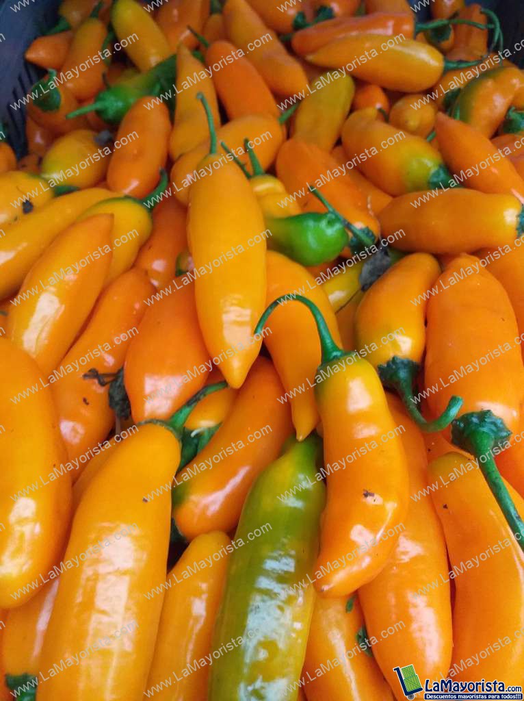 Aji referencia habanero