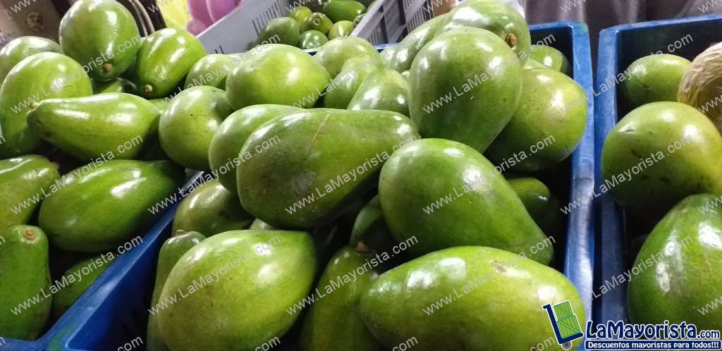 Aguacate papelillo