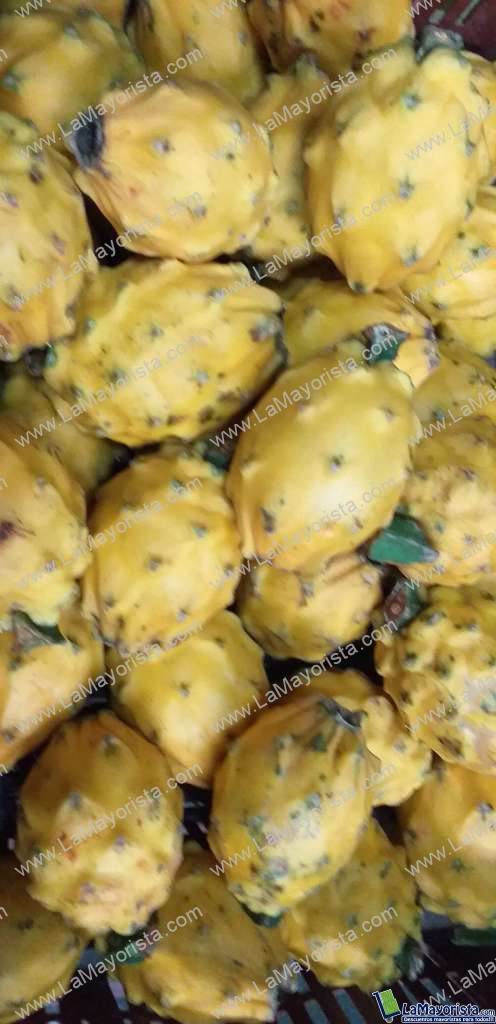 Pitaya ecuatoriana