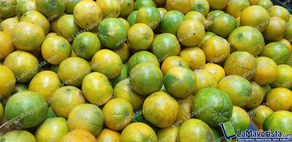 Naranja washinton