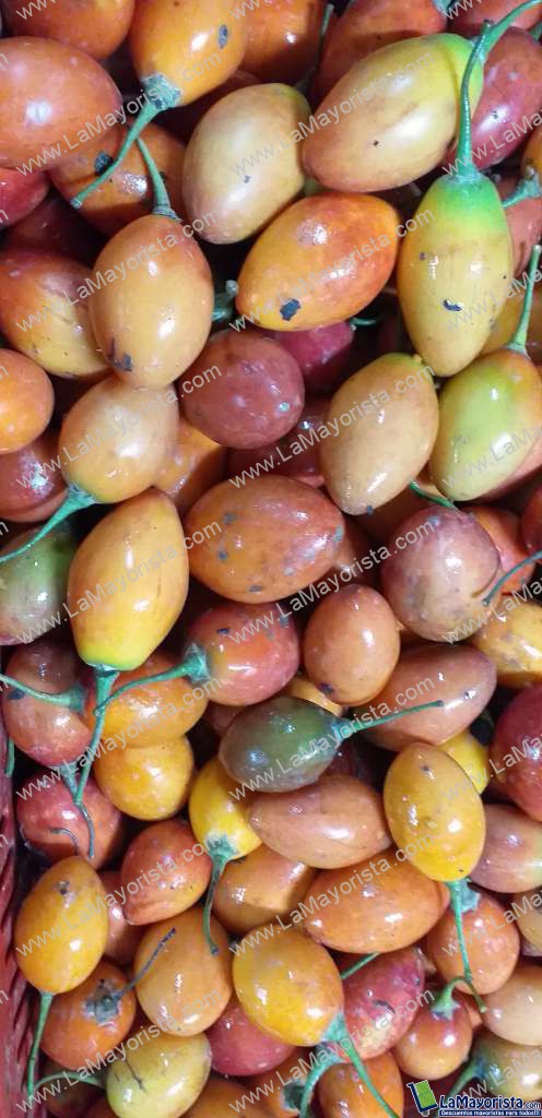 Tomate de arbol