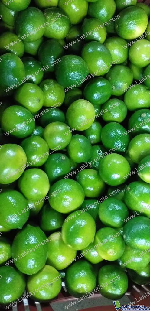 Limon tahiti