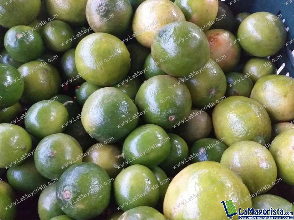 Limon tahiti