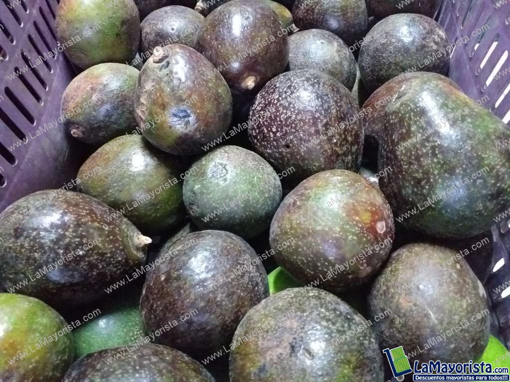 Aguacate collin reeds