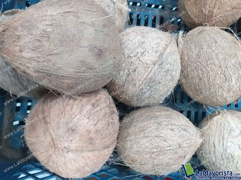 Coco referencia grande