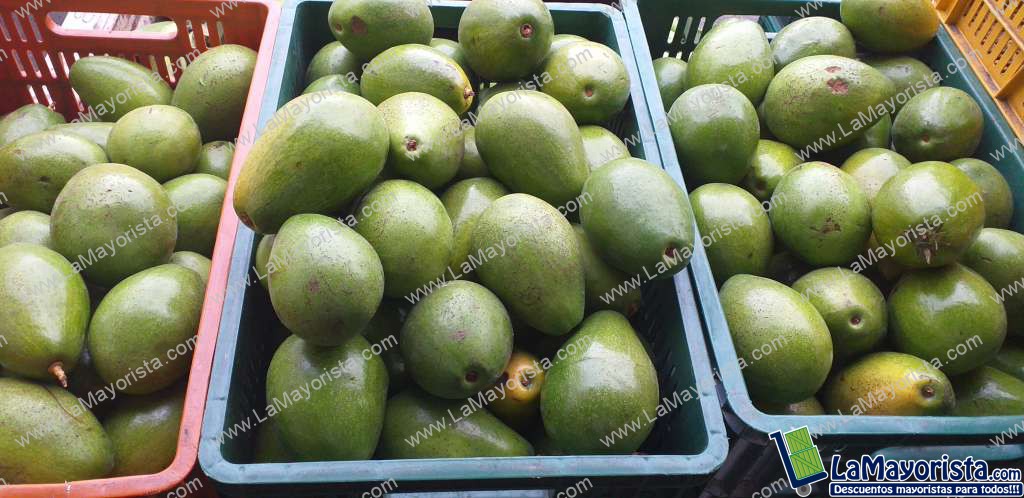 Aguacate papelilloo