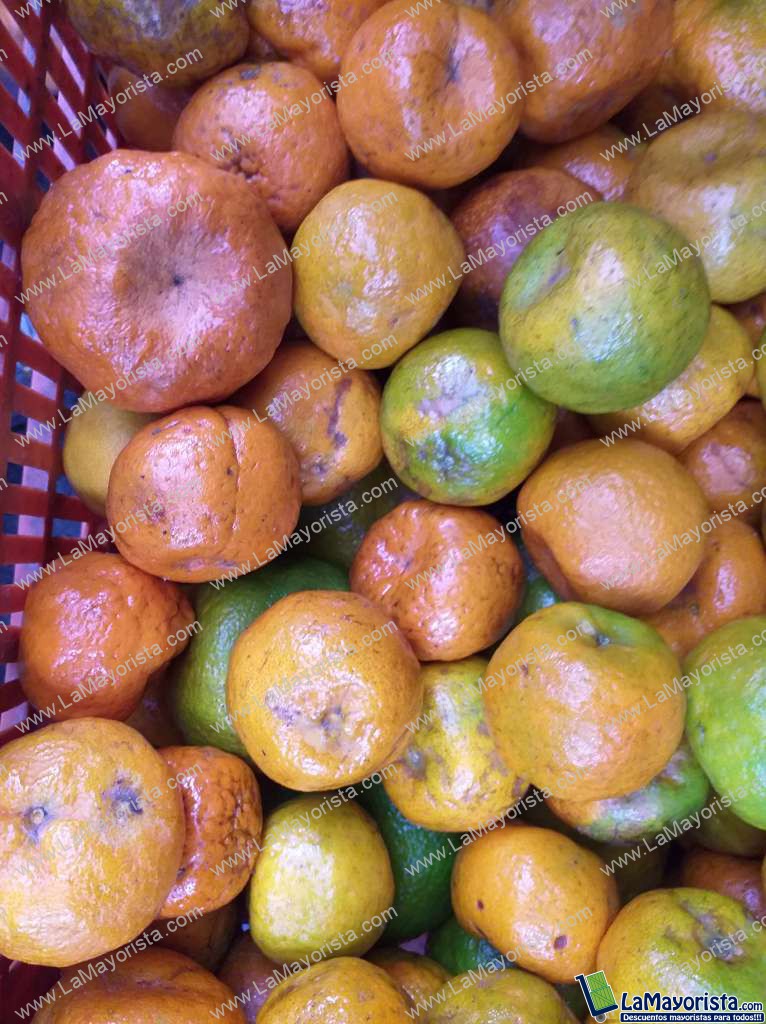Mandarina oneca