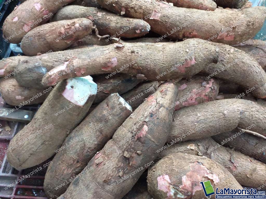 Yuca