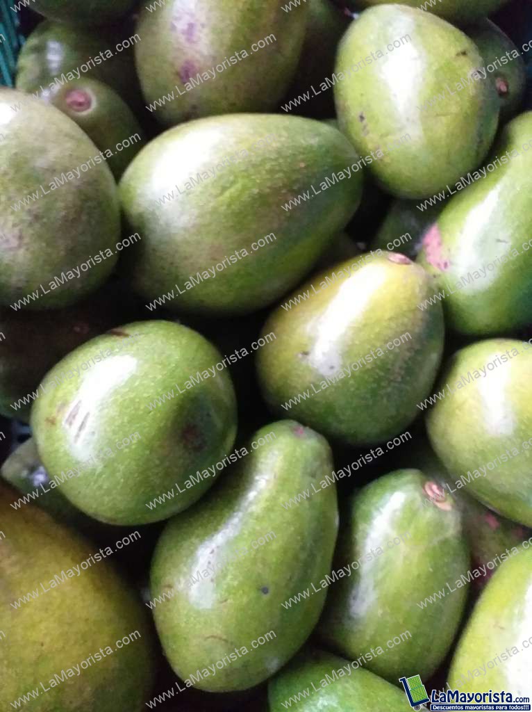 Aguacate papelillo
