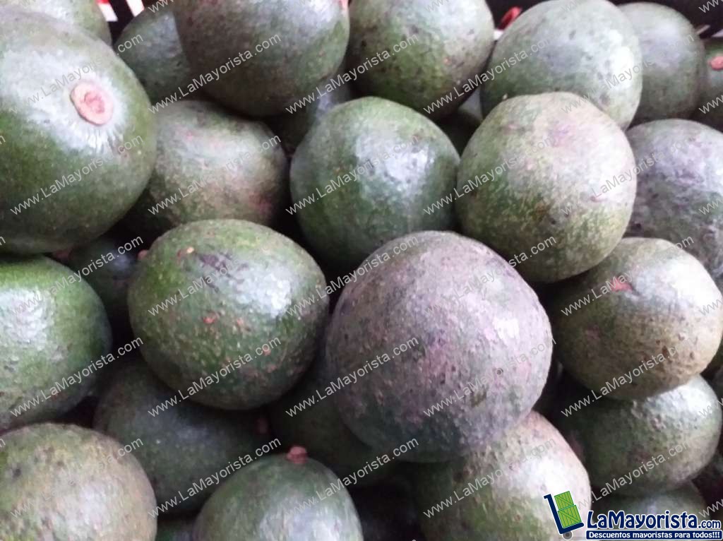 Aguacate reeds de primera