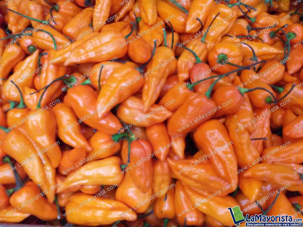 Aji referencia habanero amarillo