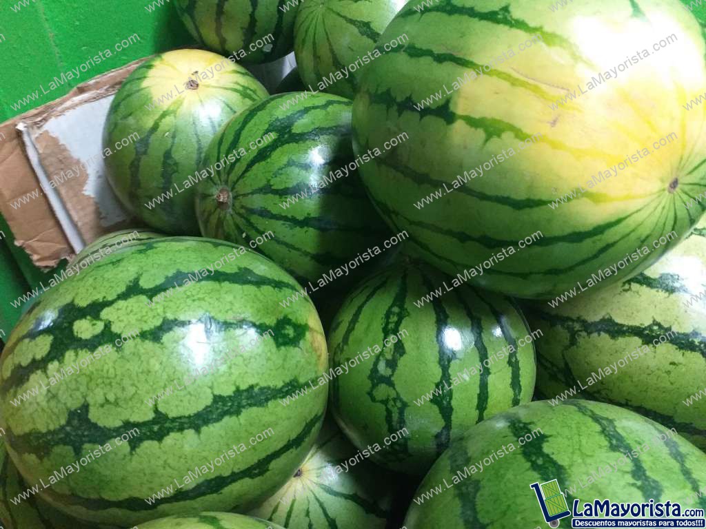Sandia baby