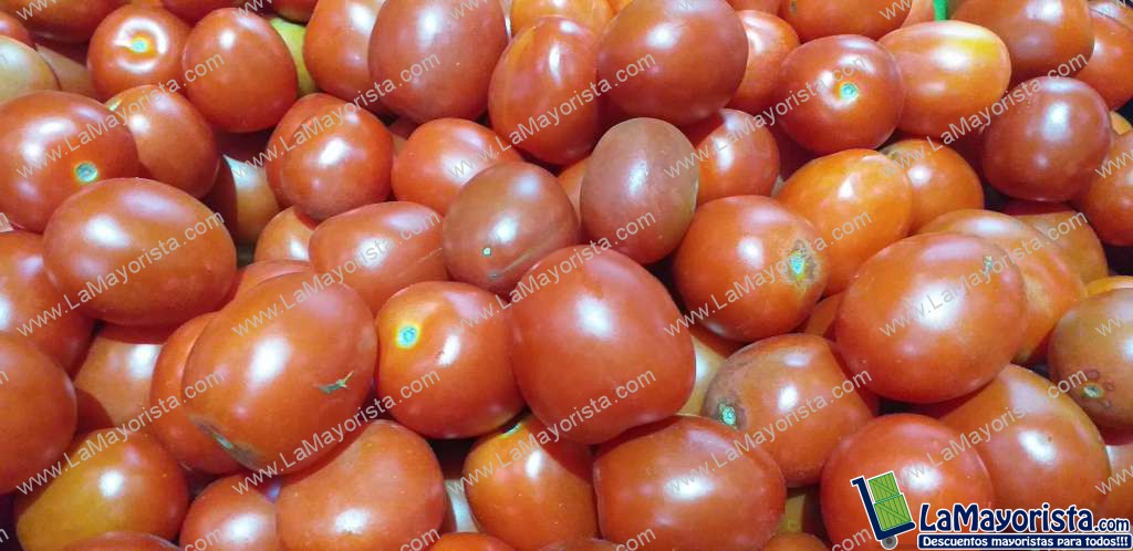 Tomate chonto parejo