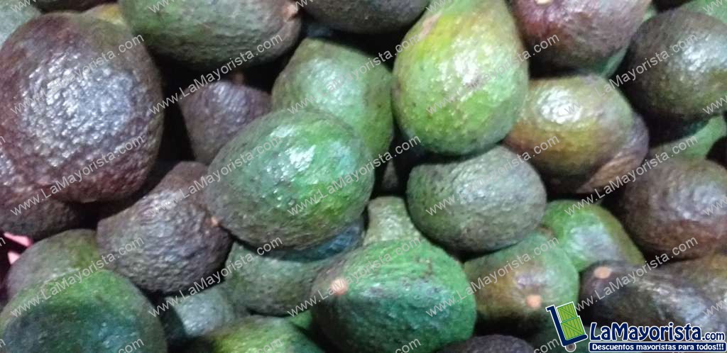 Aguacate hass