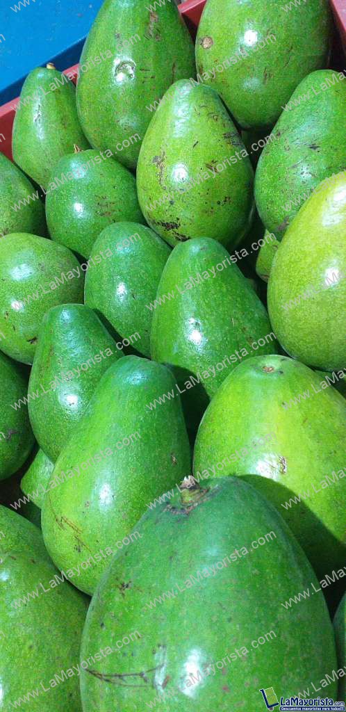 Aguacate papelillo