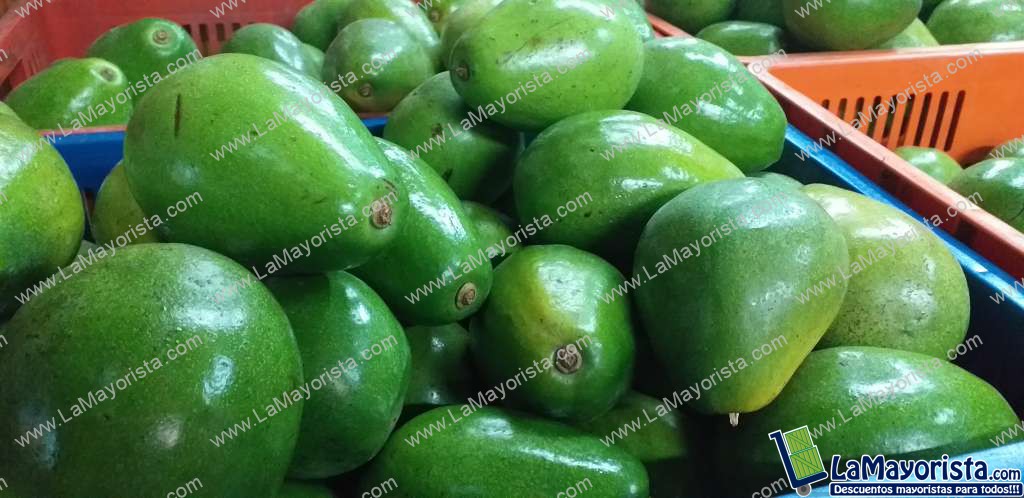 Aguacate papelillo