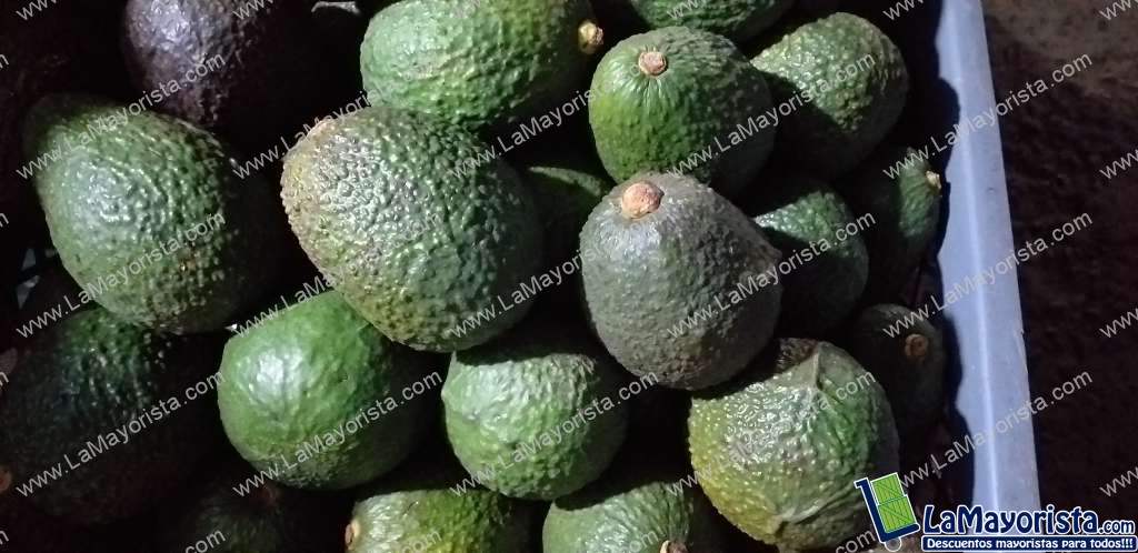 Aguacate hass