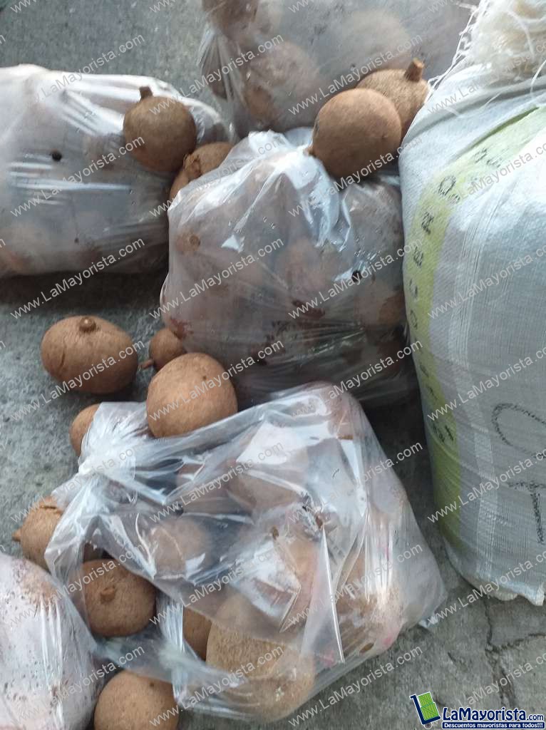 Mamey