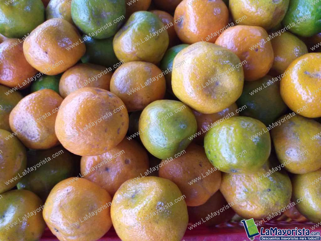 Mandarina oneca
