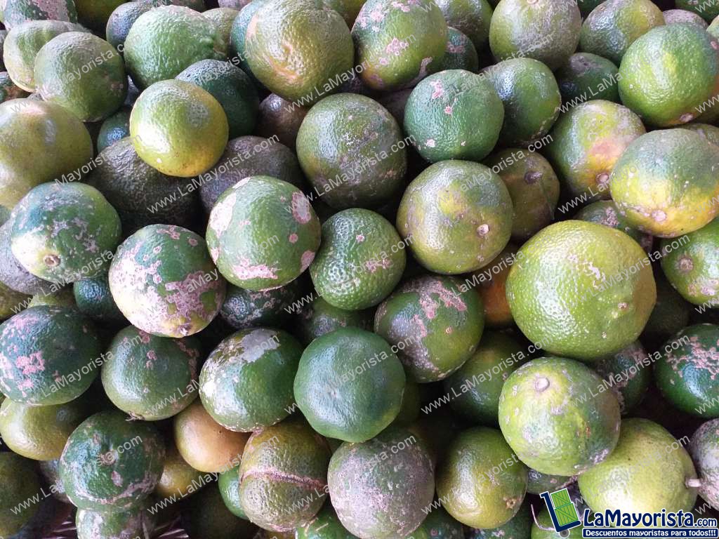 Limon mandarino