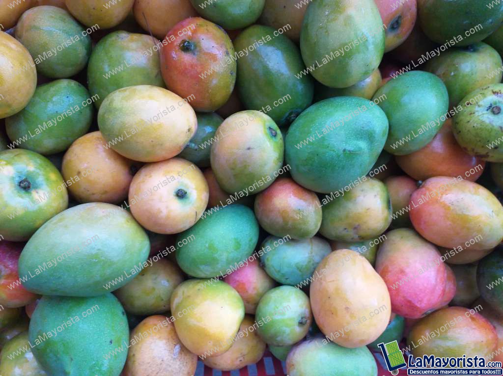 Mango criollo