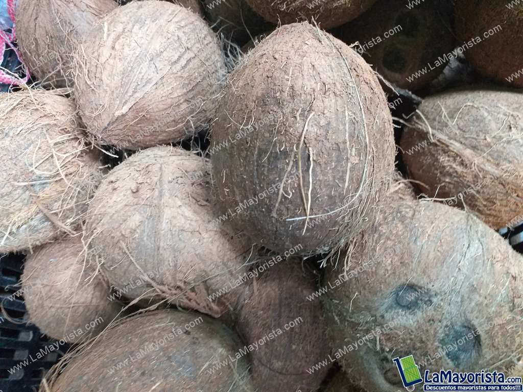 Coco referencia grande