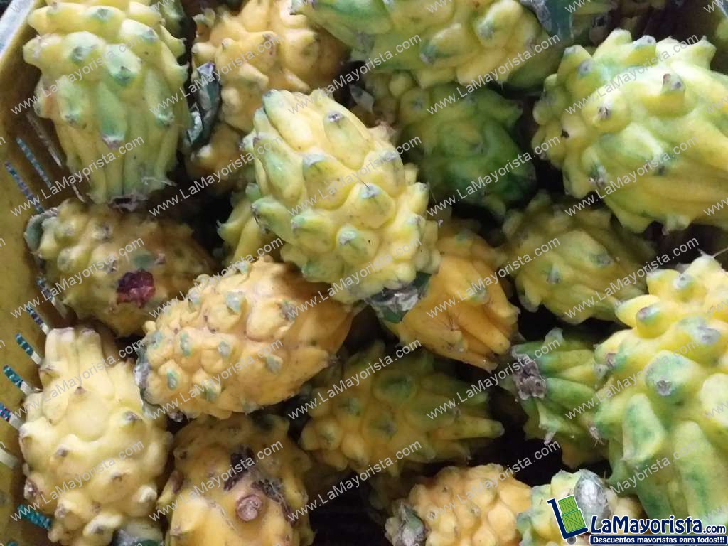 Pitaya