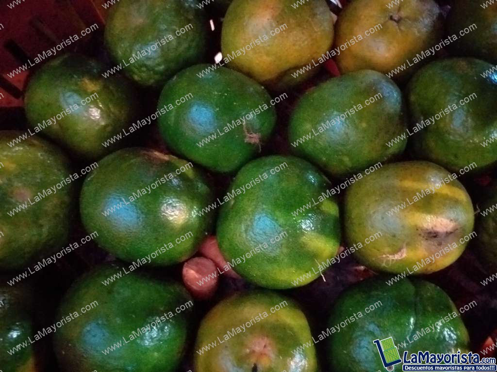 Mandarina oneca