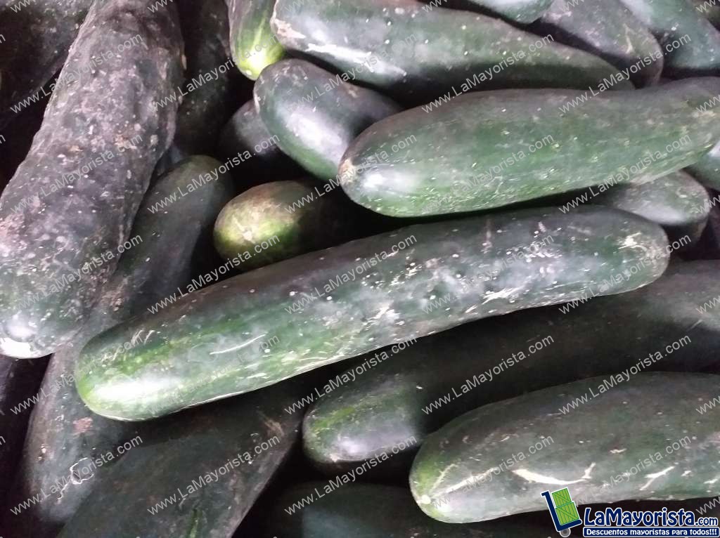 Pepino cohombro