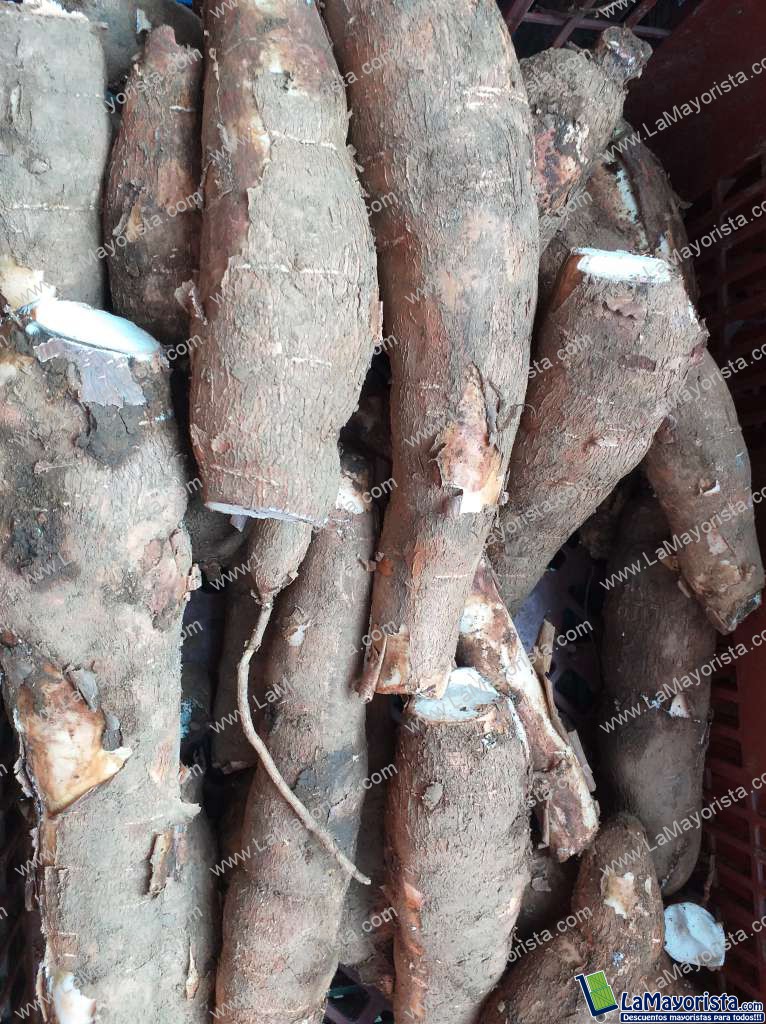 Yuca