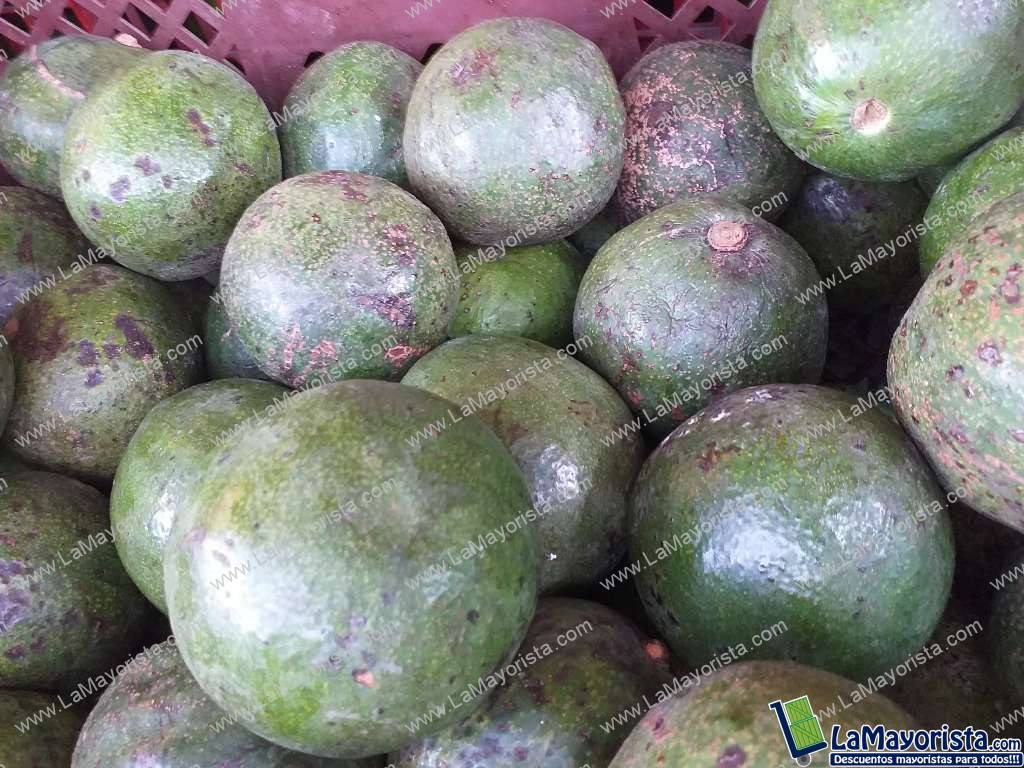 Aguacate reeds