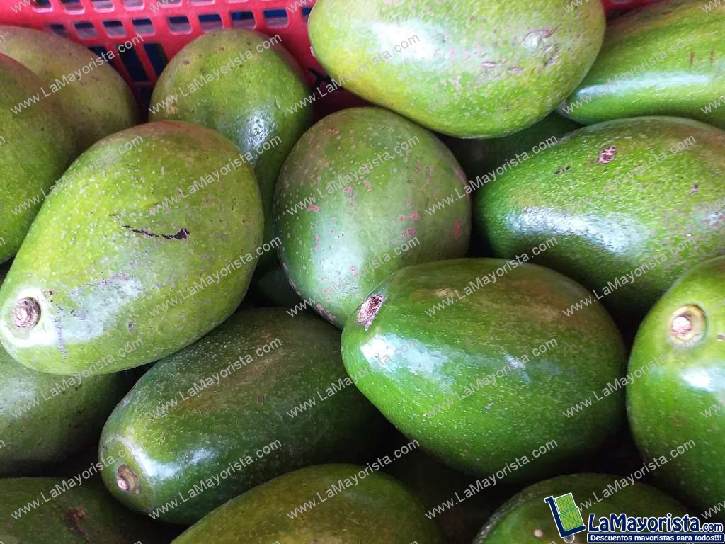 Aguacate papelillo
