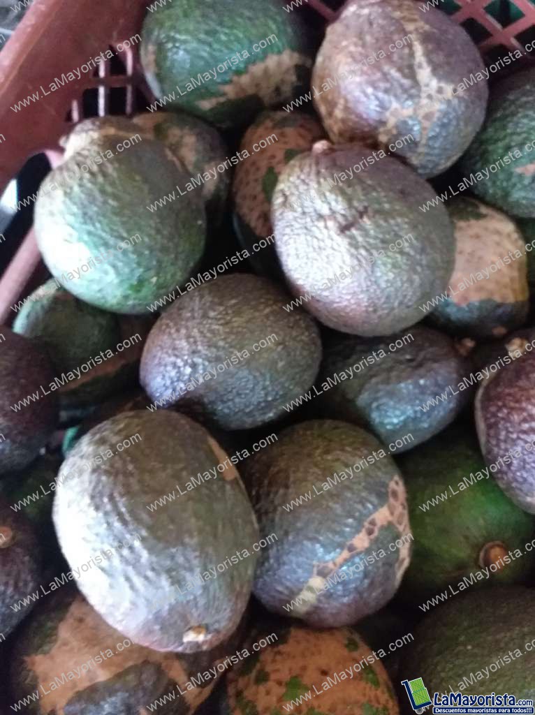 Aguacate hass