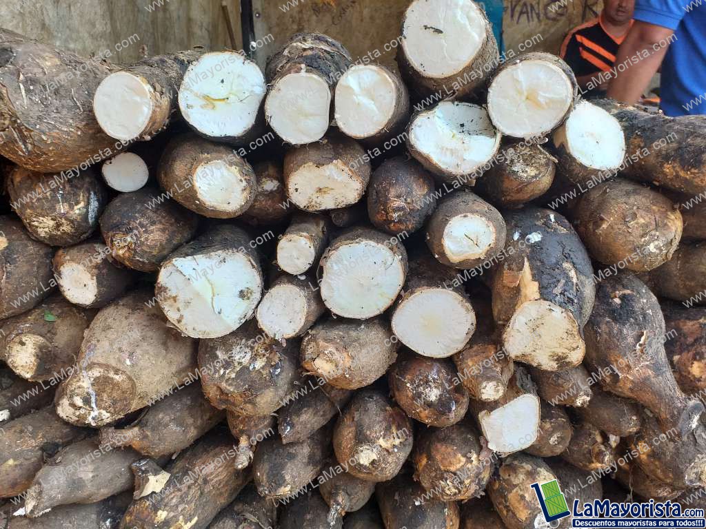 Yuca suelta