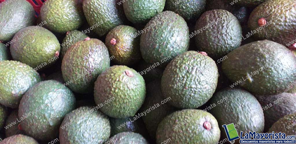 Aguacate hass