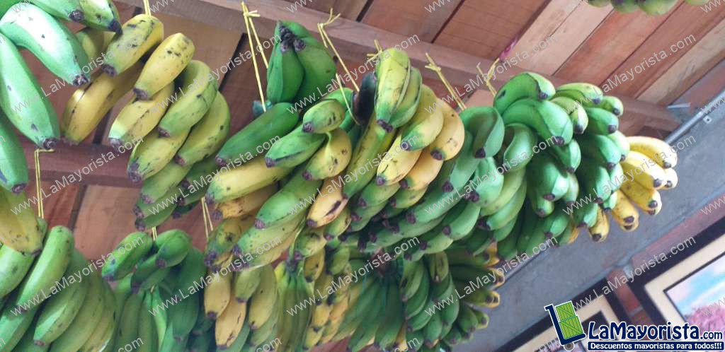 Banano criollo