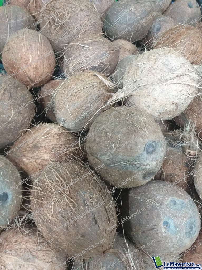 Coco referencia grande