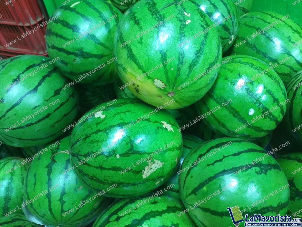 Sandia baby