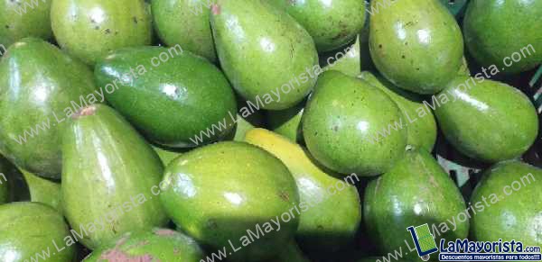 Aguacate papelillo