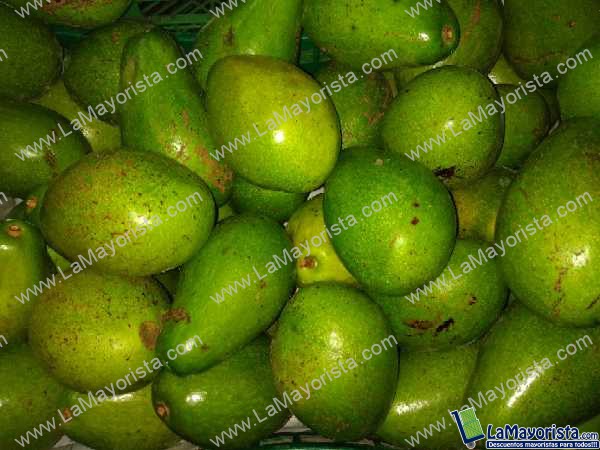 Aguacate papelillo