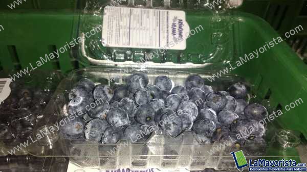 Arandanos x 125gm