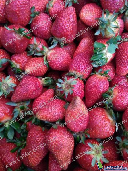 Fresas