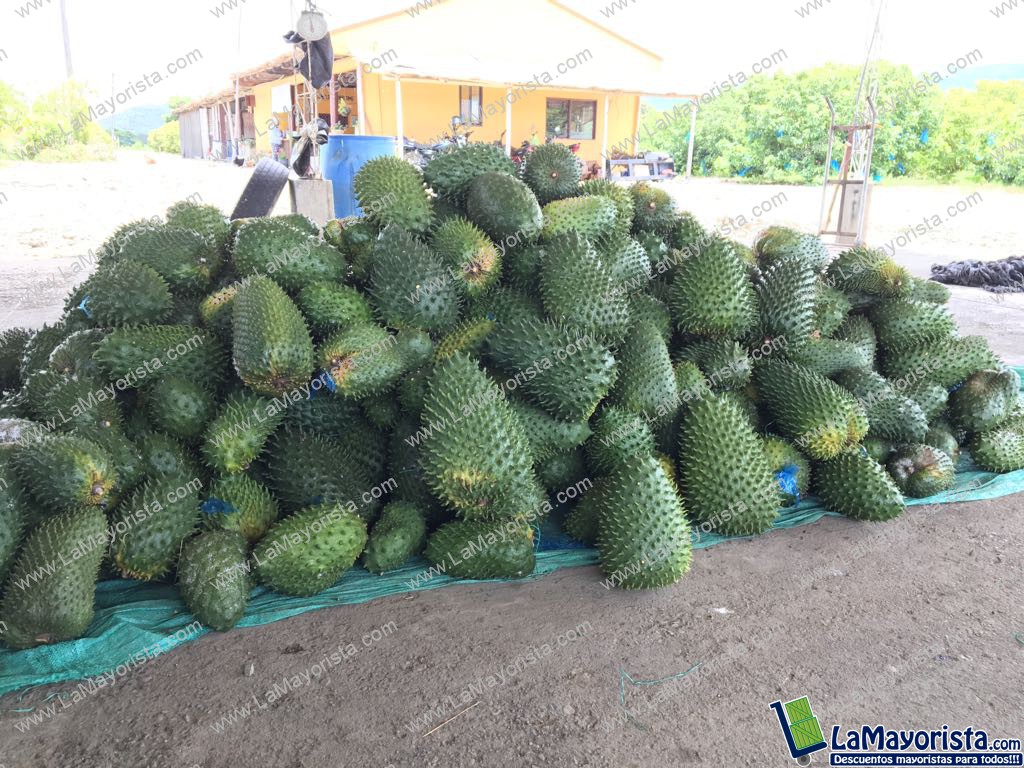 GUANABANA