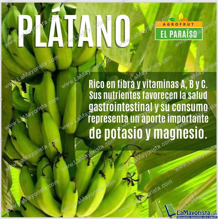 PLATANO