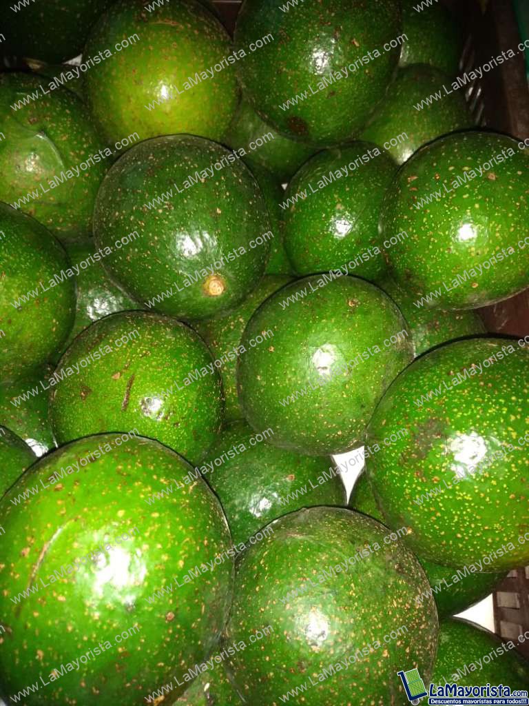 Aguacate